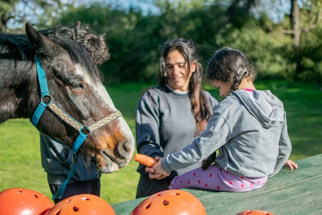 Una paciente le da de comer una zanahoria a uno de los caballos al terminar la sesión