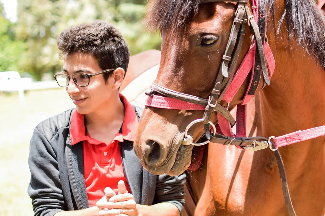 Un paciente acompaña a un caballo desde el suelo